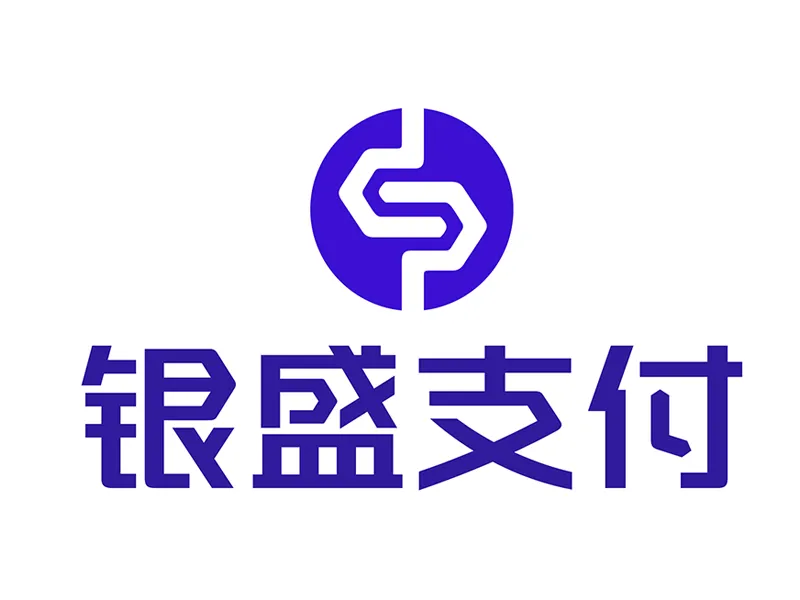 银盛（支付非法人D1）